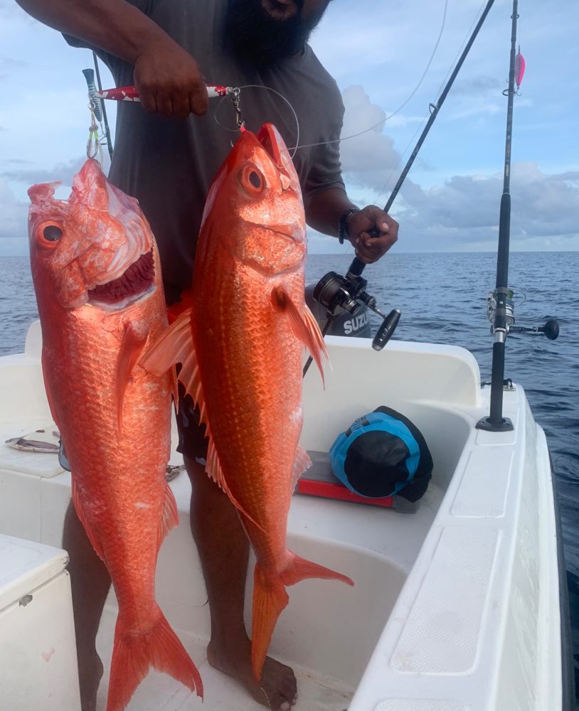 Fishing, Goidhoo, Maldives