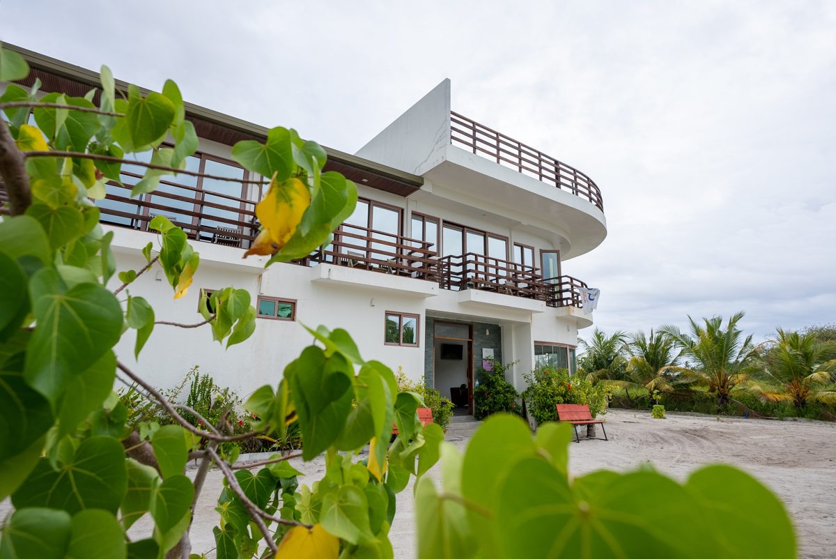 Olive Goidhoo · Stay & Dine, Goidhoo, Maldives