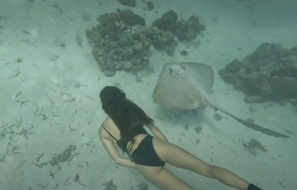 Snorkeling, Goidhoo, Maldives