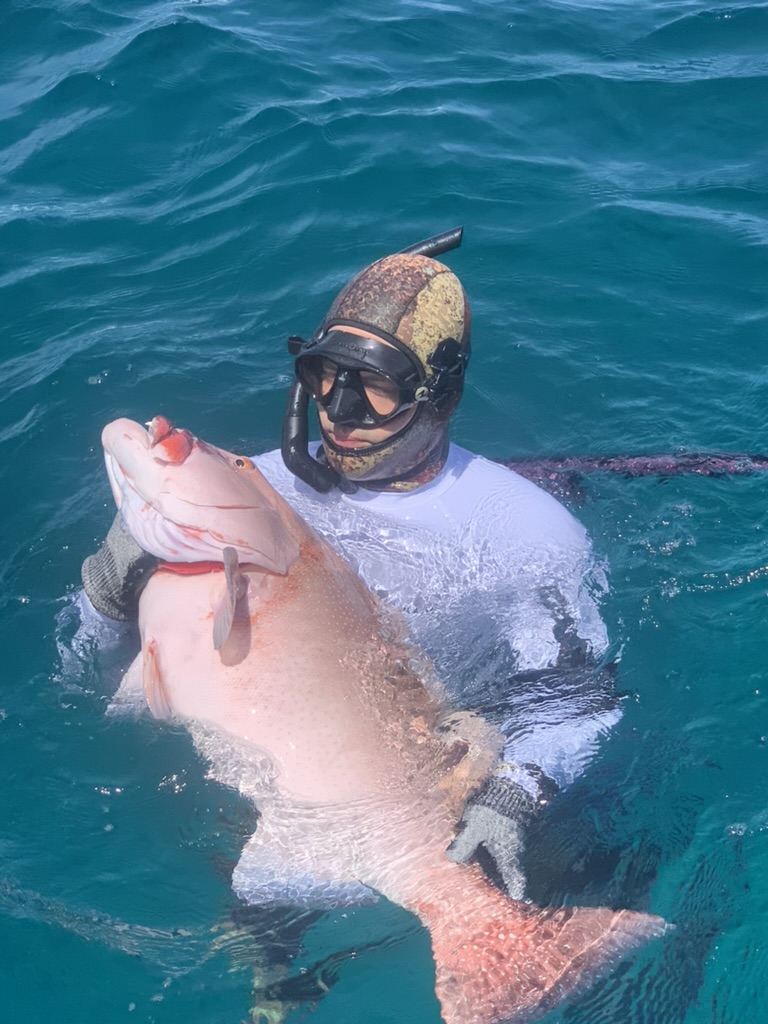Spearfishing, Goidhoo, Maldives