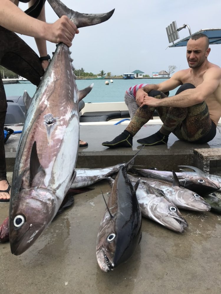 Spearfishing, Goidhoo, Maldives