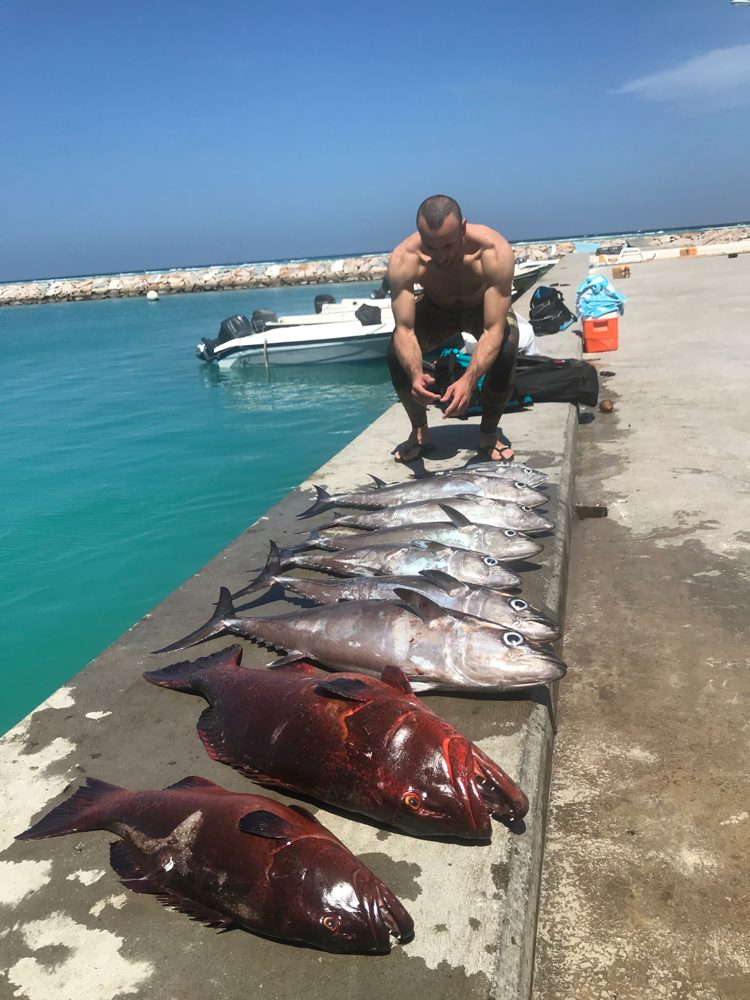 Spearfishing, Goidhoo, Maldives