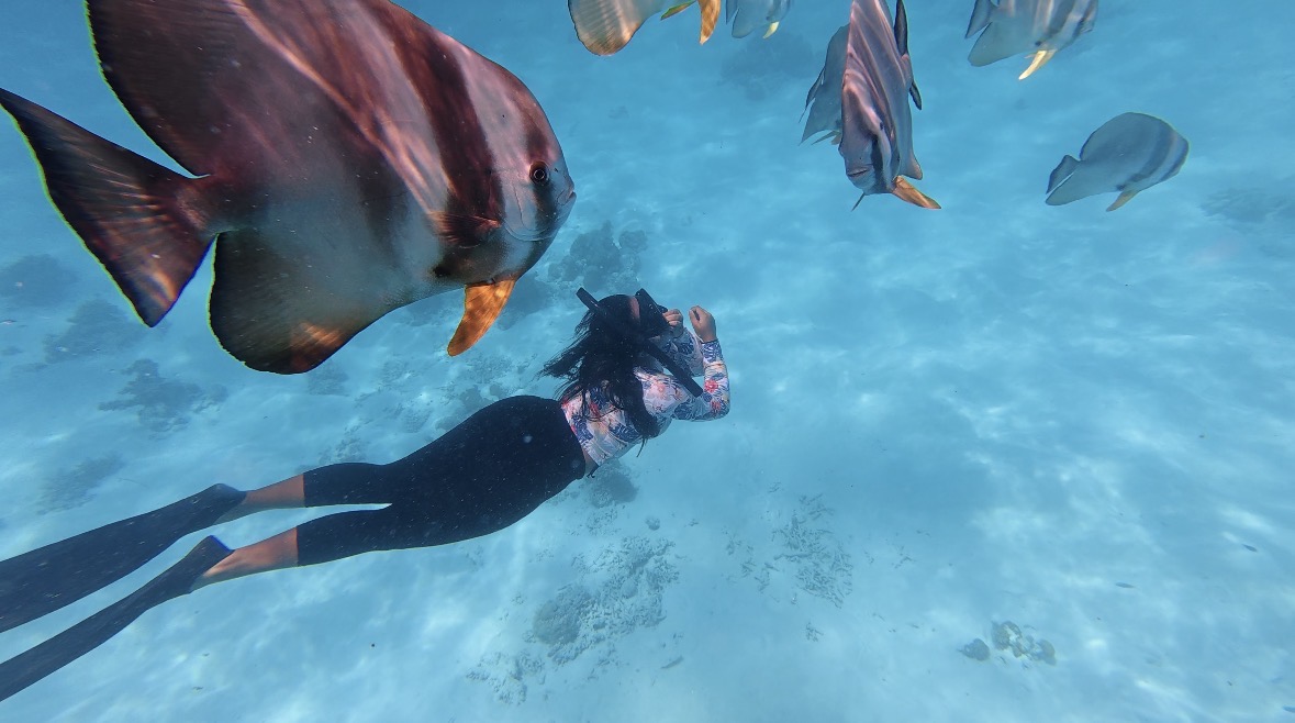 Snorkeler diving alongside a school of batfish over white sand and coral