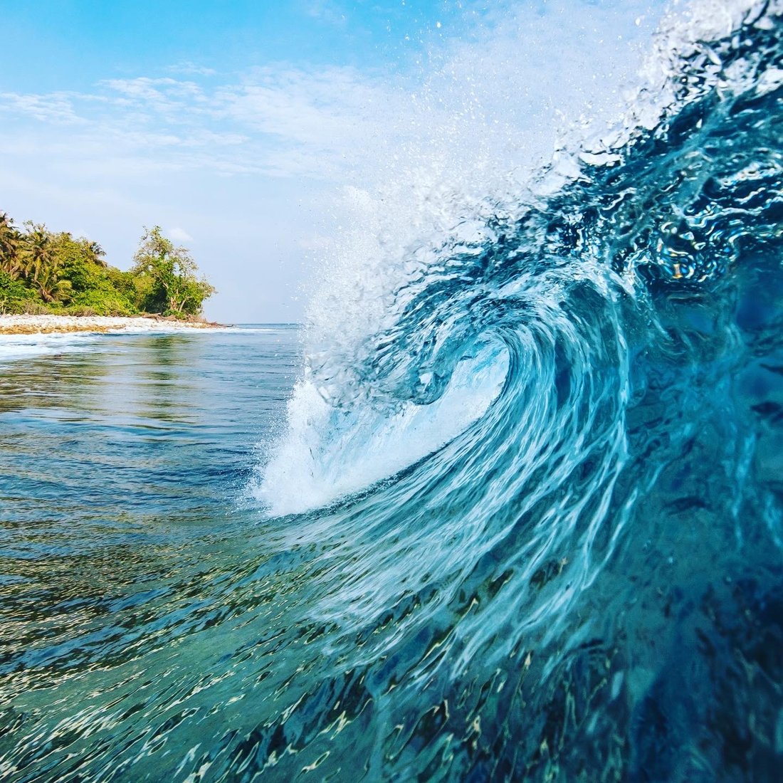A clear turquoise wave curling over the reef beside a palm-fringed island